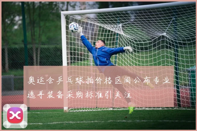 奥运会乒乓球拍价格区间公布专业选手装备采购标准引关注