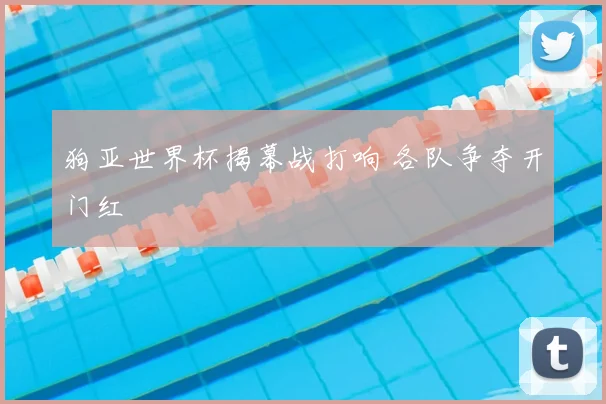 狗亚世界杯揭幕战打响 各队争夺开门红